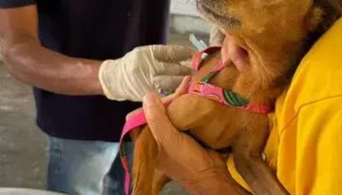 Eunápolis realiza campanha de vacinação antirrábica para cães e gatos