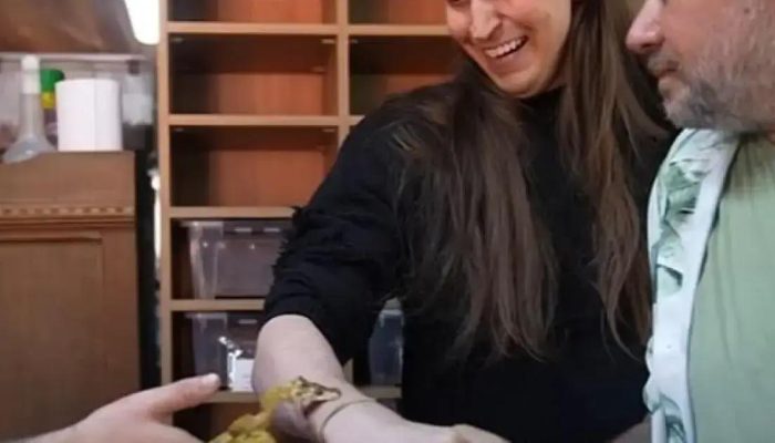 Felca viraliza ao ser picado por cobra em vídeo curioso com biólogo