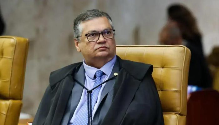 Flávio Dino determina desapropriação de terras por incêndios e desmatamentos ilegais