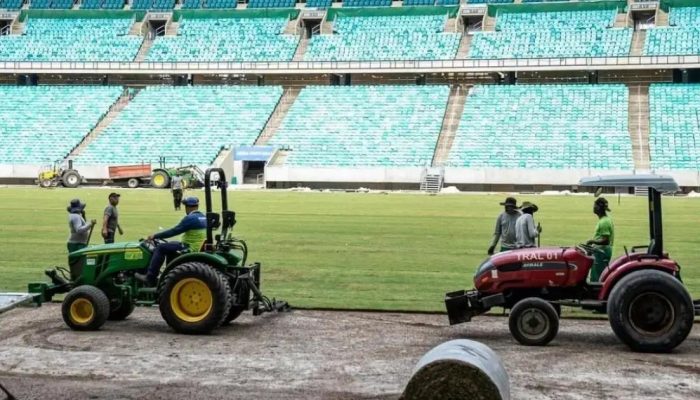 Fonte Nova conclui plantio do novo gramado para jogo do Bahia contra Grêmio