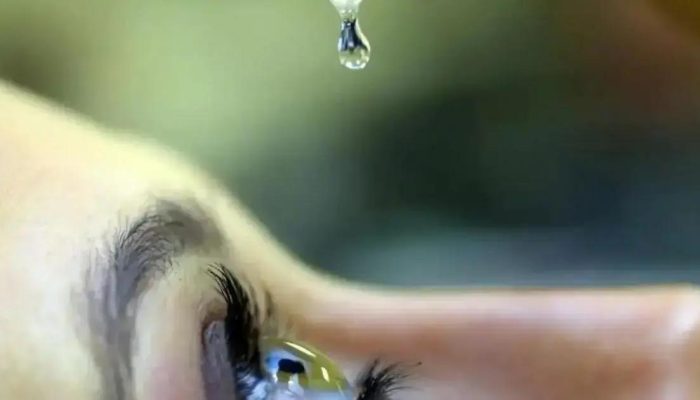 Fundação Lar Harmonia realiza mutirão gratuito para glaucoma e catarata