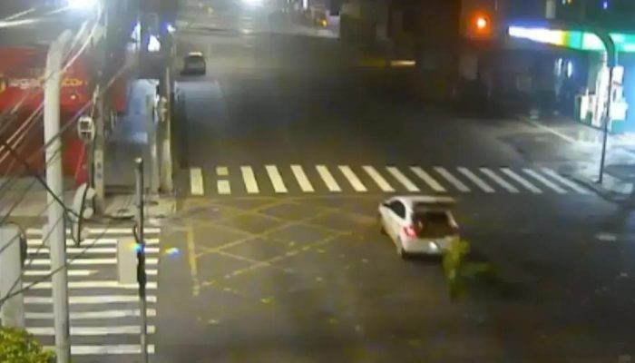 Furto de palmeiras recém-plantadas em Feira de Santana gera investigação