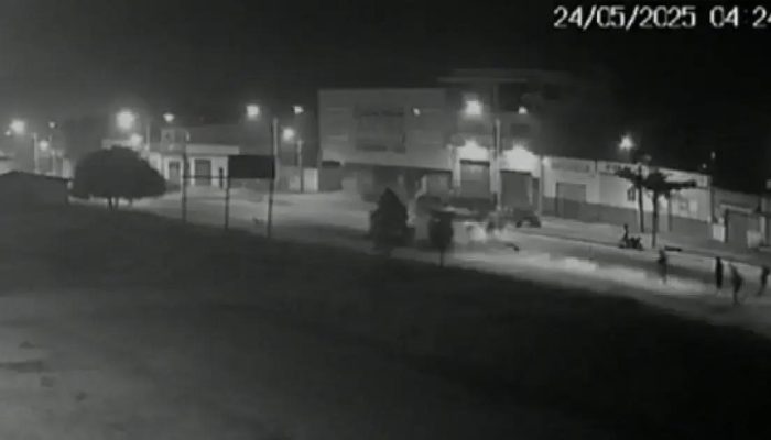 Gari morre atropelado em Itamaraju; motorista foge do local