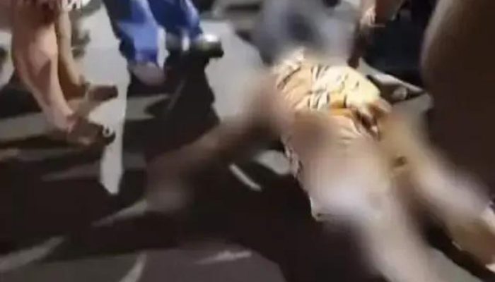 Grave acidente em Itarantim deixa mulher ferida na noite de domingo