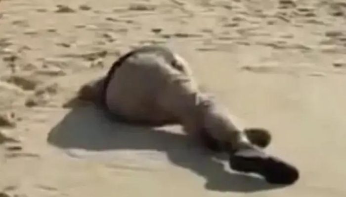 Homem é encontrado morto a tiros na Praia de Taperapuan em Porto Seguro