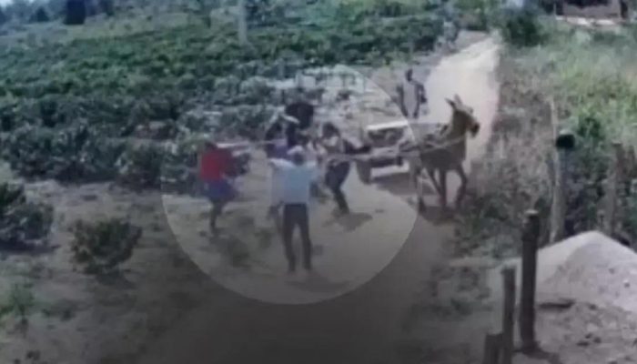 Homem é morto a pauladas em fazenda na Bahia; suspeitos são parentes