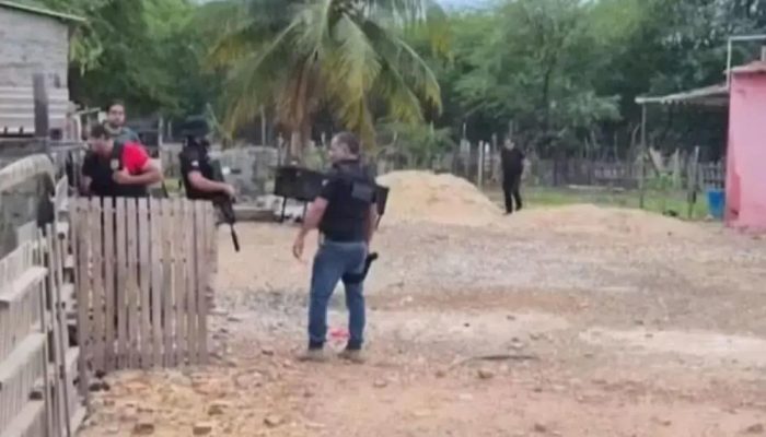 Homem é preso em Juazeiro por tráfico internacional de animais silvestres