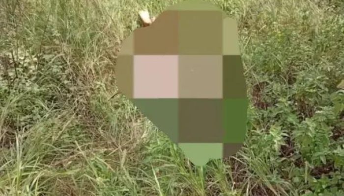 Homem encontrado morto amarrado em matagal na zona rural de Anagé