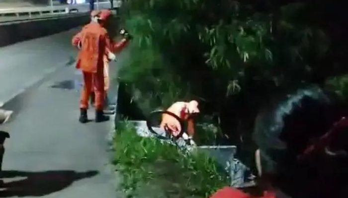Homem morre após acidente de bicicleta em bueiro na BR-101