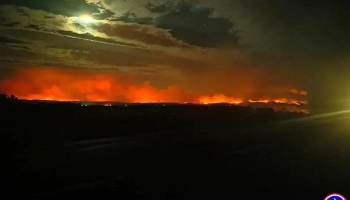 Incêndio no Sul da França: 11 mil hectares de floresta devastados