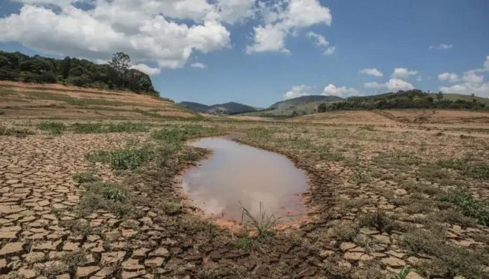 Iniciativas públicas e sociais buscam resiliência na caatinga e cerrado baianos