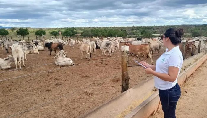 Jerônimo Rodrigues propõe reforma para reestruturar carreiras na ADAB