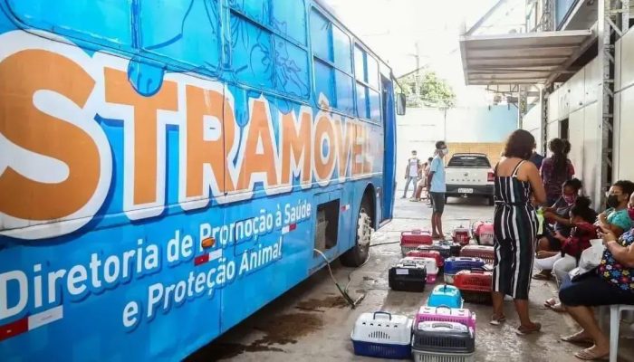 Limitação nas Castrações de Animais em Salvador Gera Polêmica