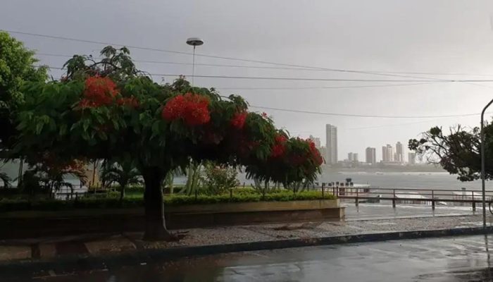 Menino de 10 anos morre eletrocutado ao tentar resgatar pipa em Juazeiro