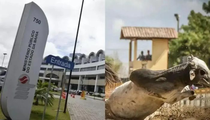 Ministério Público intensifica fiscalização das vaquejadas na Bahia