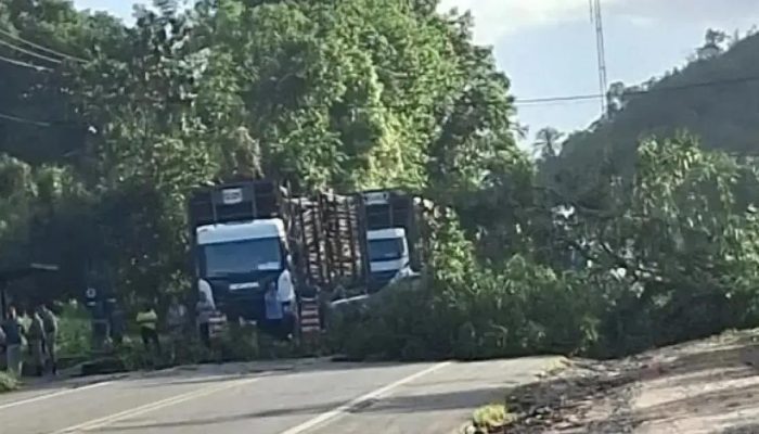 Moradores de Mata de São João bloqueiam BA-093 contra alagamentos