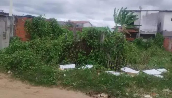 Moradores do bairro Gusmão se preocupam com terreno tomado por mato