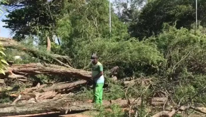 MPF investiga contratação de kits humanitários em Paulo Afonso após chuvas