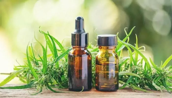 MPF investiga morosidade da Anvisa na importação de Canabidiol para ansiedade