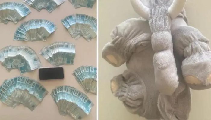 Mulher é presa em Jaguaquara com R$ 20 mil escondidos em bicho de pelúcia