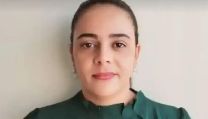 Mulher morre após ataque de abelhas em Ipirá: entenda o caso