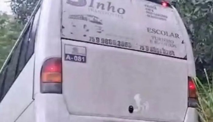 Ônibus escolar cai em barranco na BA-507 em Catu; estudantes ilesos