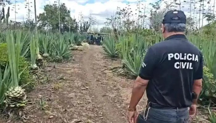 Pai é preso por estupro de vulnerável contra filha de 13 anos em Araci