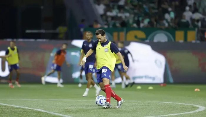 Palmeiras e Bahia: Confronto Decisivo no Brasileirão 2025