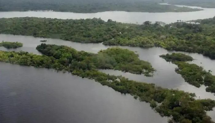 PF usa constelação de satélites para combater crimes ambientais na Amazônia