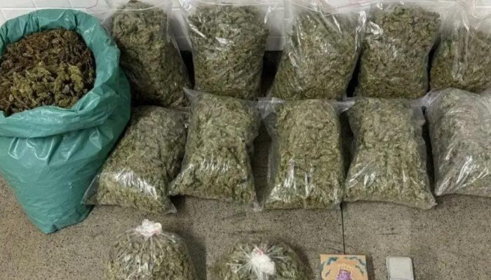 PM apreende 34 quilos de maconha durante patrulhamento em Feira de Santana