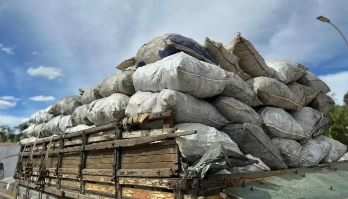 PM apreende 4 toneladas de carvão vegetal irregular na Bahia