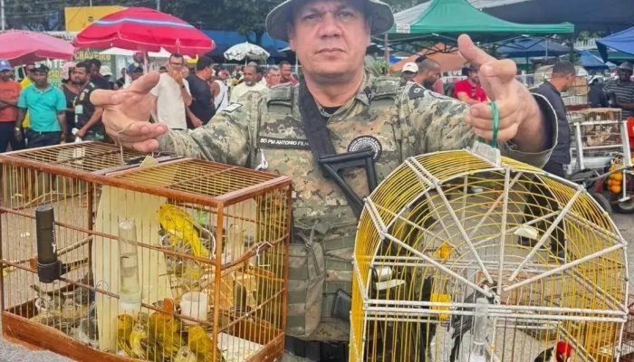 Polícia Ambiental realiza resgate de 48 aves silvestres em Camaçari