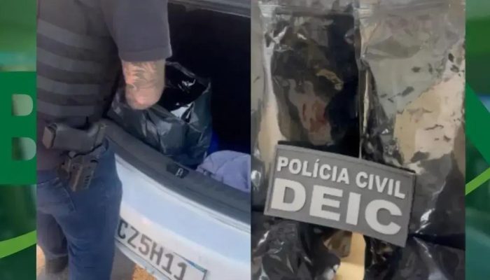 Polícia Civil apreende 6 quilos de maconha na Micareta de Feira