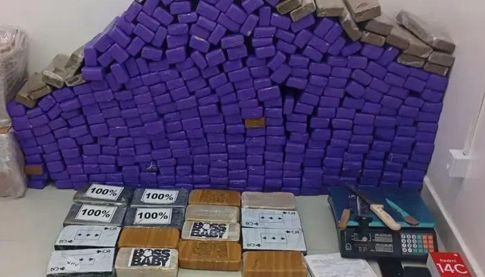 Polícia desmantela depósito de entorpecentes em Vitória da Conquista