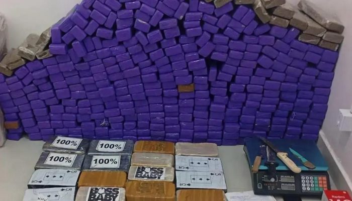 Polícia Militar realiza grande apreensão de drogas em Vitória da Conquista