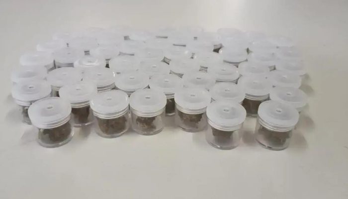 Polícia prende suspeito de tráfico em Cajazeiras X, Salvador