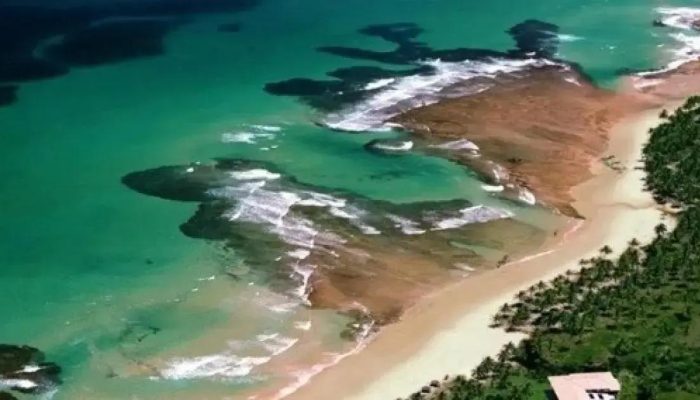 Praias da Bahia entre as 100 mais icônicas do mundo em guia internacional