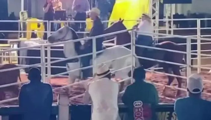 Prefeita de Maiquinique é vaiada em evento e gera polêmica na cidade