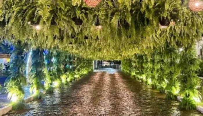 Prefeito revela furto de 500 samambaias durante festival em São Gonçalo