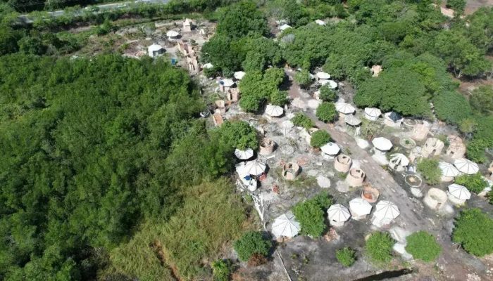 Preocupação com ocupação irregular em manguezal afeta Porto Seguro