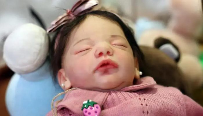 Proposta de multa para atendimento a bebês reborn na saúde pública baiana