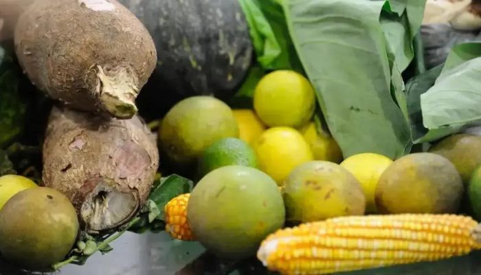 Queda nos Preços da Cesta Básica em 15 Cidades do Brasil: Um Alívio