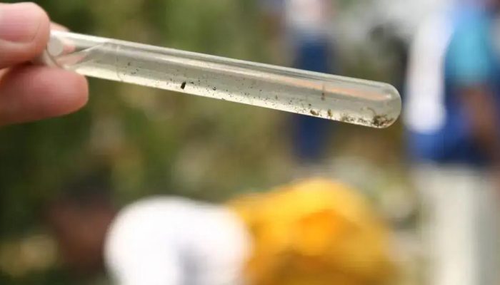 Redução significativa de casos de dengue e Chikungunya na Bahia em 2025