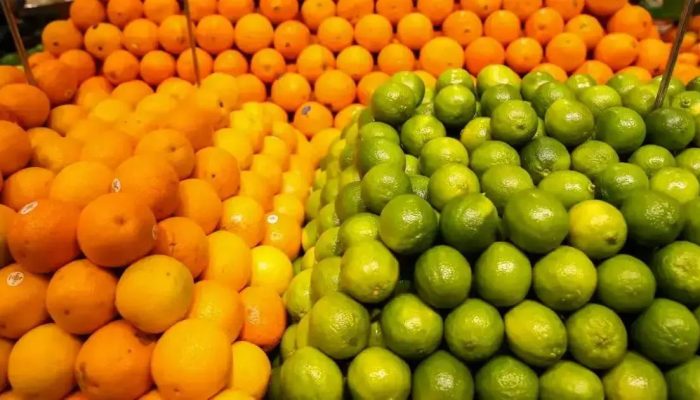 Rio Real: Proposta para Capital Estadual da Laranja é apresentada na AL-BA