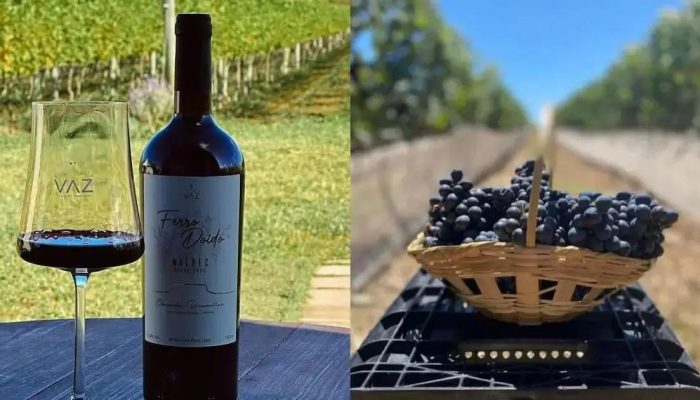 Rota do Vinho da Chapada Diamantina brilha em eventos de turismo