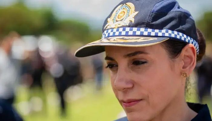 Segurança e ordem na manifestação bolsonarista em Brasília