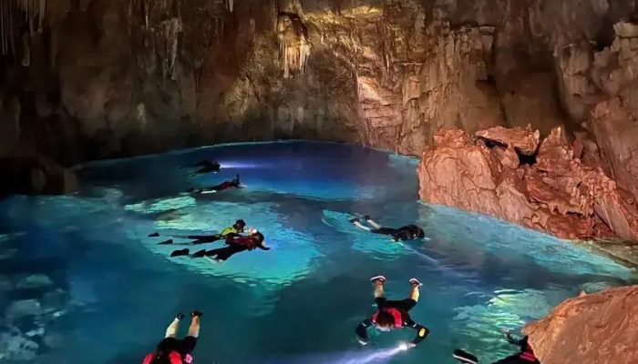 Sucuris em Bonito: Encontros Fascinantes no Ecoturismo Brasileiro