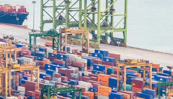 Suspensão nas exportações de pescados: Os efeitos da nova tarifa dos EUA