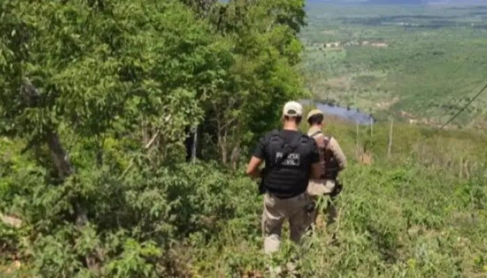 Trabalhador rural morto em briga por gaiola de passarinho na Bahia