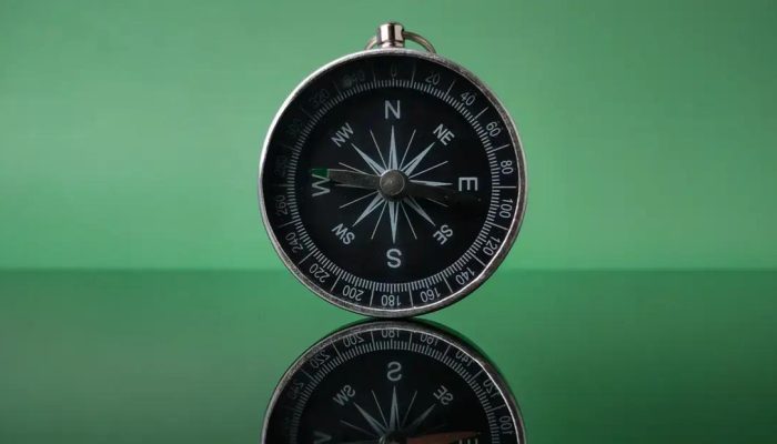 Transformando relatórios financeiros em decisões estratégicas para empresas